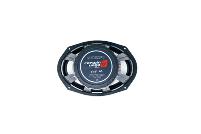 Cerwin-Vega SM69F4