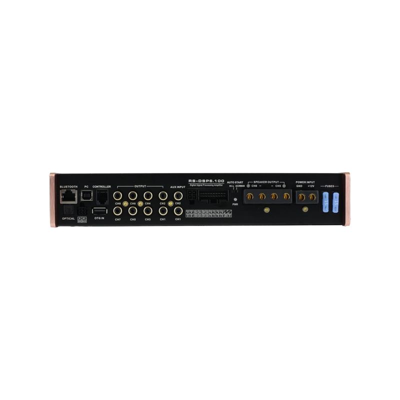 Reiss RS-DSP6.100