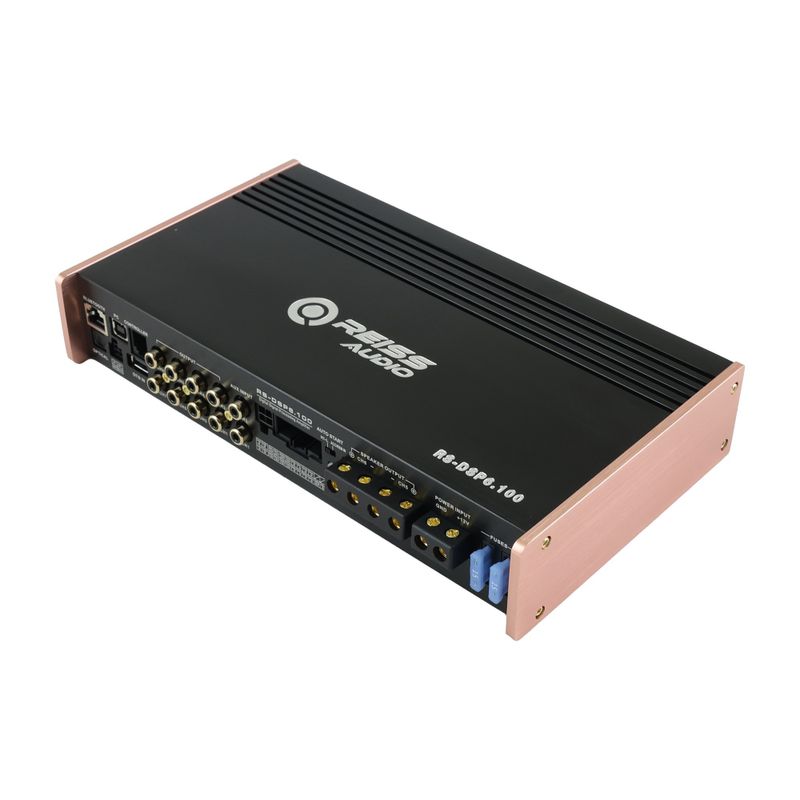 Reiss RS-DSP6.100