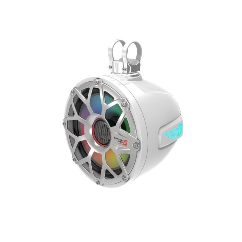 Cerwin Vega SH10F4W