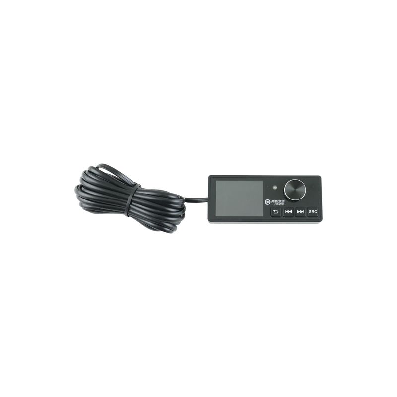 Reiss RS-DSP6.100