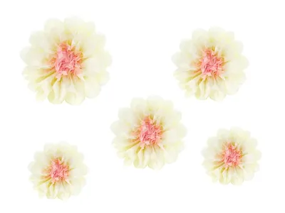 Paper flowers dekoration DIY 5 st