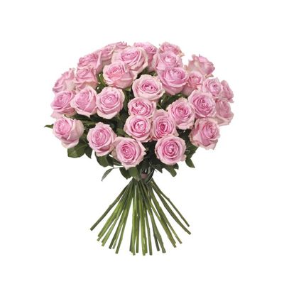 30 rosa rosor