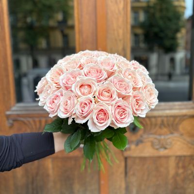 30 rosa rosor