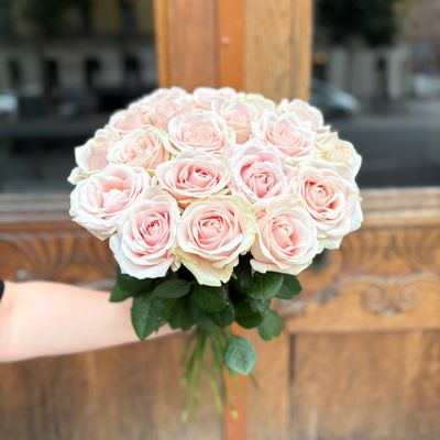 20 rosa rosor