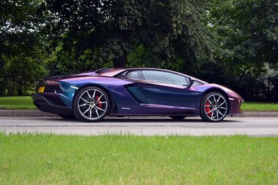 Avery Gloss Rushing Riptide Cyan & Purple