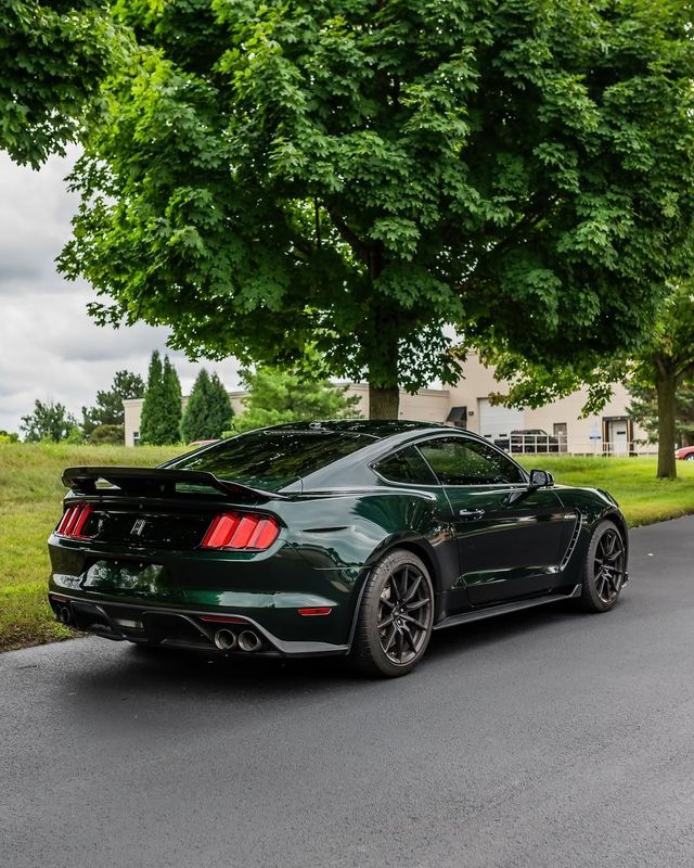 KPMF Green Black Iridescent K75460 Vinyl