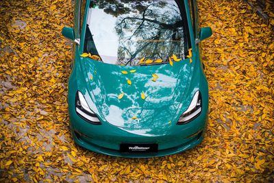 TeckWrap CG38-HD British Racing Green