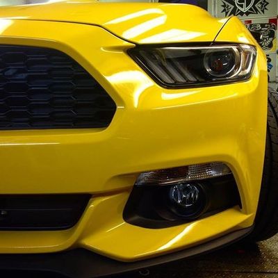 Avery Gloss Dark Yellow