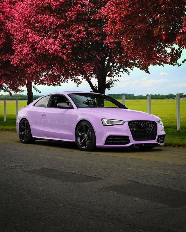 TeckWrap CG48-HD Spanish Lavender