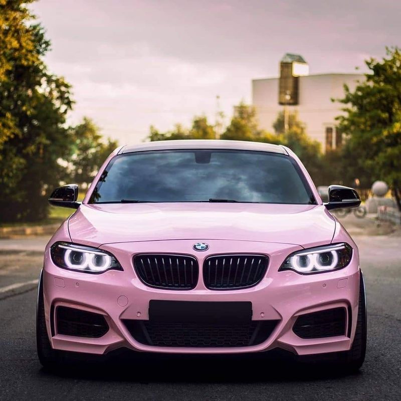 TeckWrap CG19-HD Millennial Pink