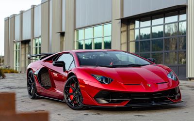 STEK DYNOshield SW PPF