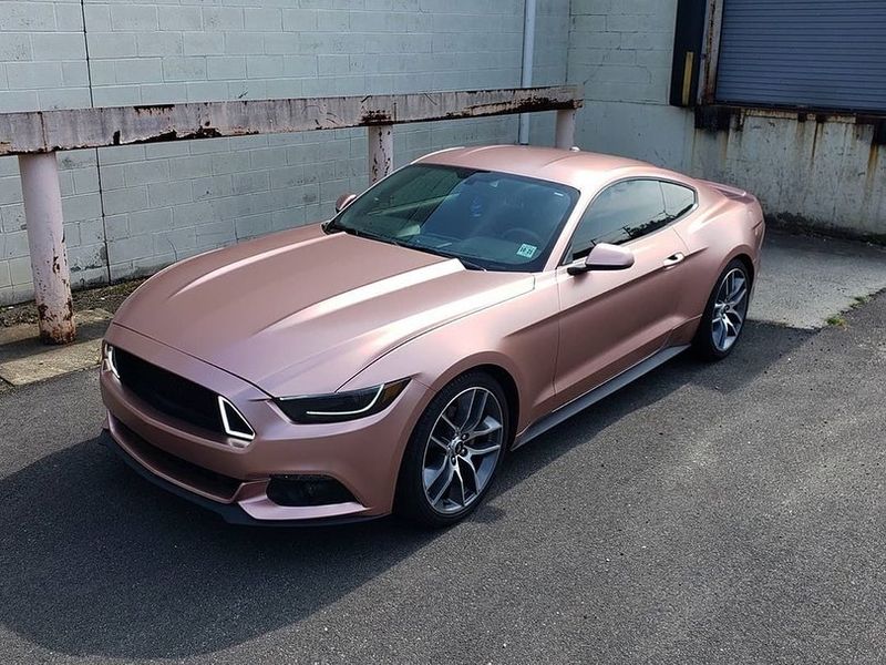 TeckWrap ECH04 Royal Bronze