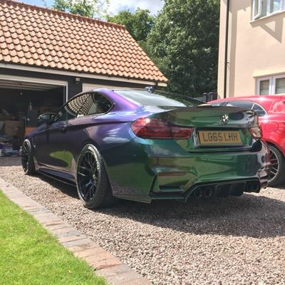 Avery Gloss Urban Jungle Silver & Green