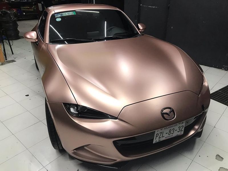 TeckWrap ECH04 Royal Bronze