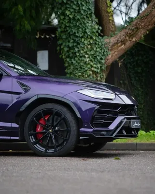 TeckWrap HM08-HD Black Cherry Ice