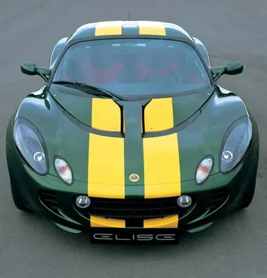 Gul Stripes - Premium