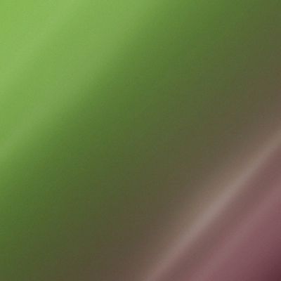 ORACAL 970GRA - 317 AVOCADO