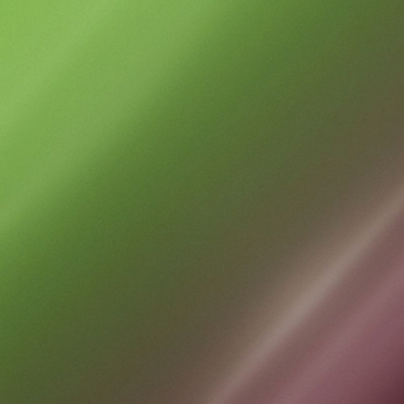 ORACAL 970GRA - 317 AVOCADO
