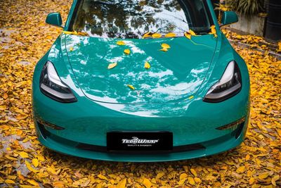 TeckWrap CG38-HD British Racing Green