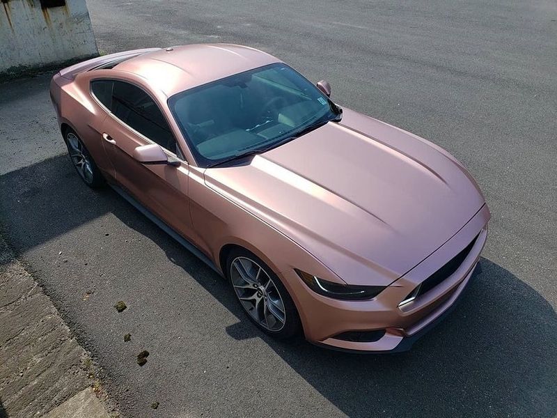 TeckWrap ECH04 Royal Bronze