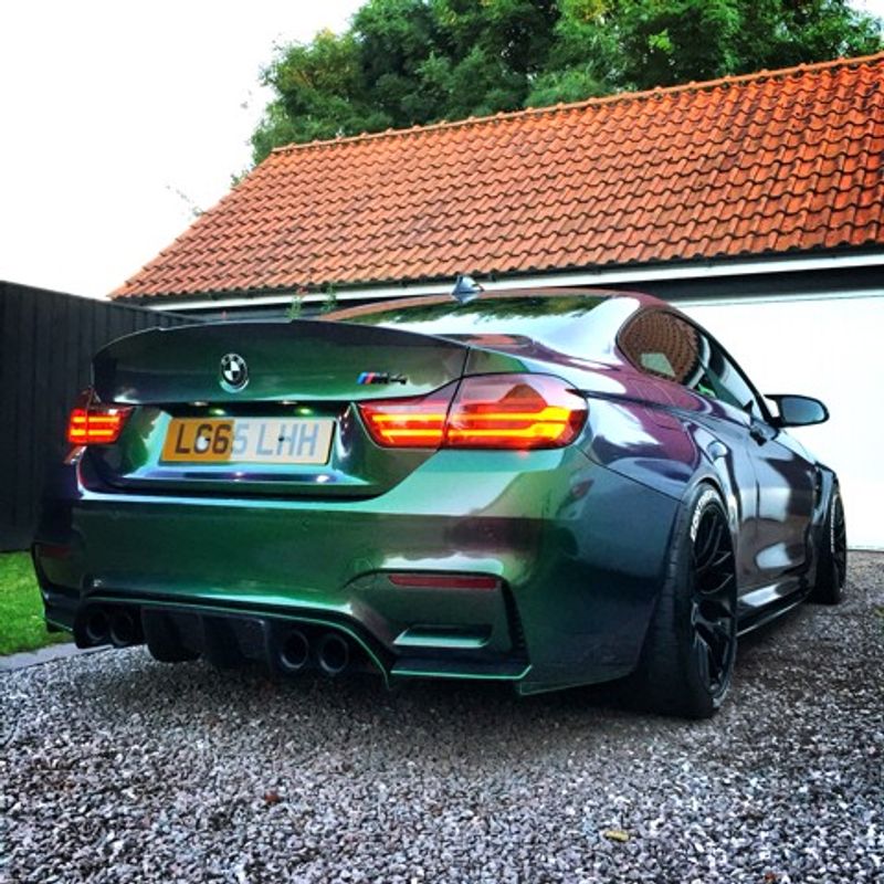 Avery Gloss Urban Jungle Silver & Green