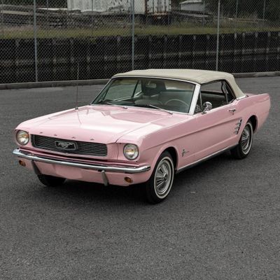 TeckWrap CG19-HD Millennial Pink