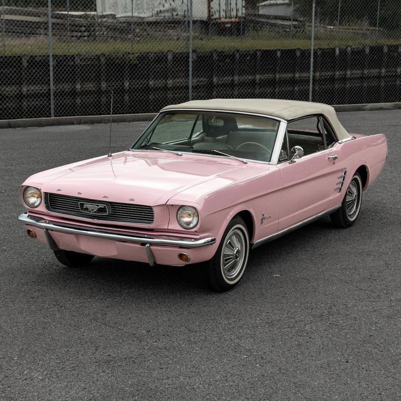 TeckWrap CG19-HD Millennial Pink