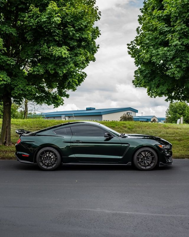 KPMF Green Black Iridescent K75460 Vinyl