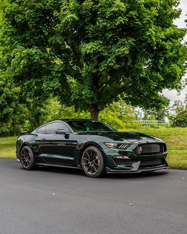 KPMF Green Black Iridescent K75460 Vinyl