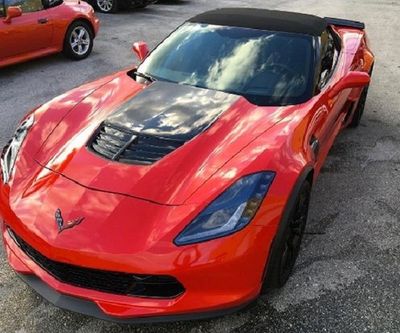 Avery Gloss Red