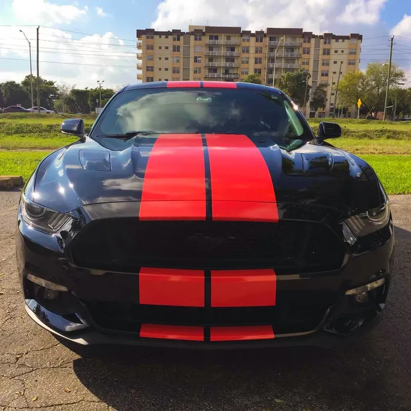 Ljusröd Stripes - Premium