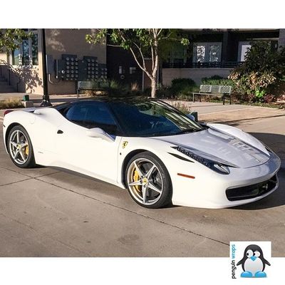 Avery Gloss White