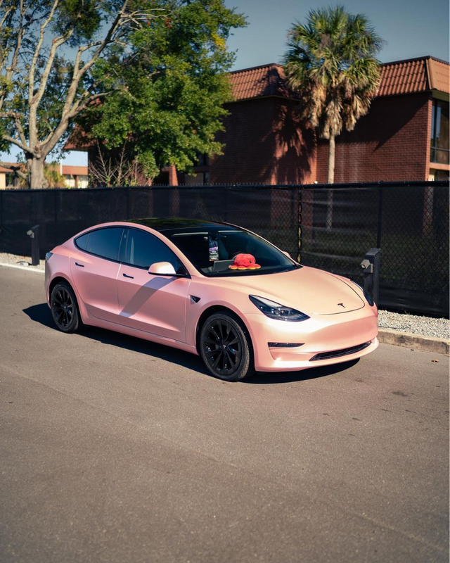 TeckWrap ECH22 Cherry Blossom Pink