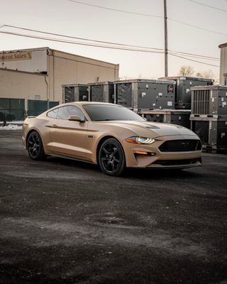 KPMF K75531 Stealth Tundra Vinyl