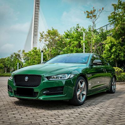 TeckWrap CG32-HD Amphibian Green