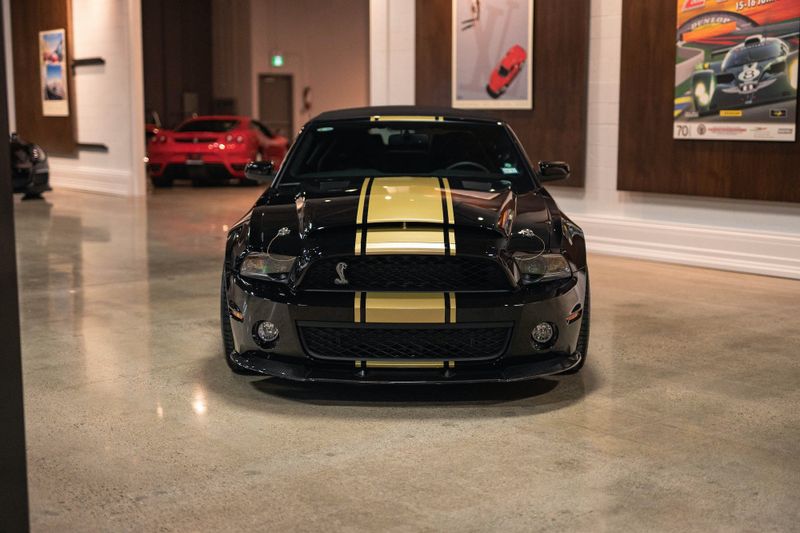 Guld Stripes - Premium