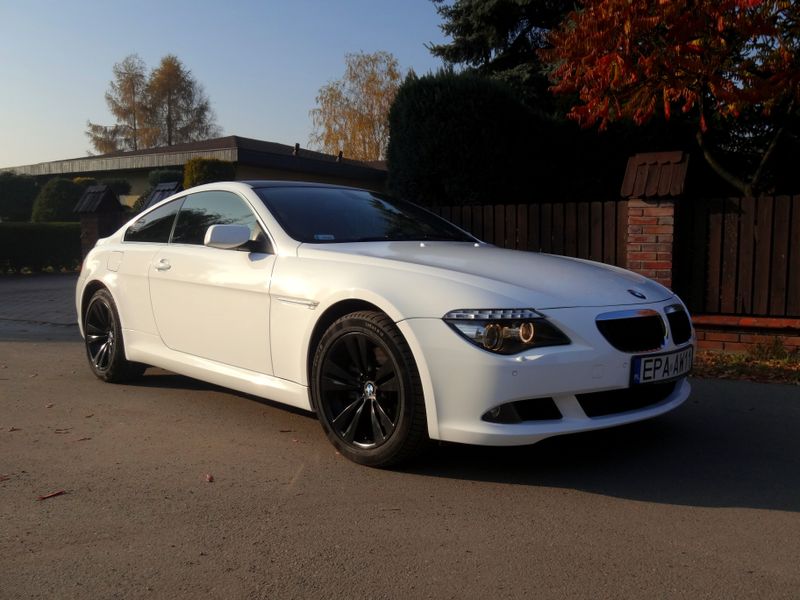 Avery Gloss White