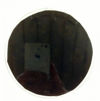 VN BASIC 30cm Strålkastarfilm (mörk)