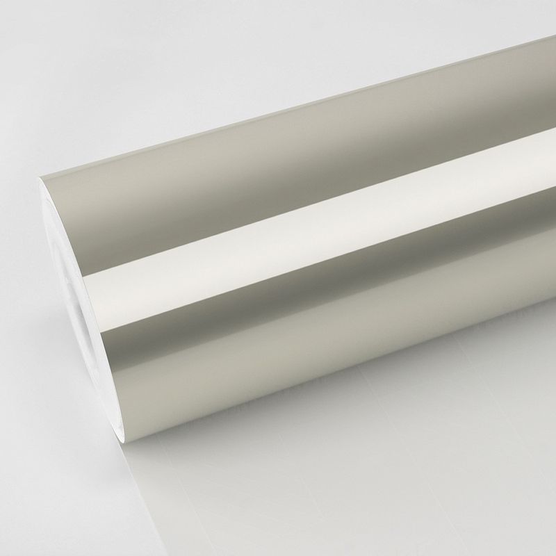 TeckWrap RB31-HD Silver Fern
