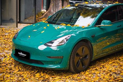 TeckWrap CG38-HD British Racing Green