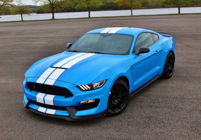 Vit Stripes - Premium