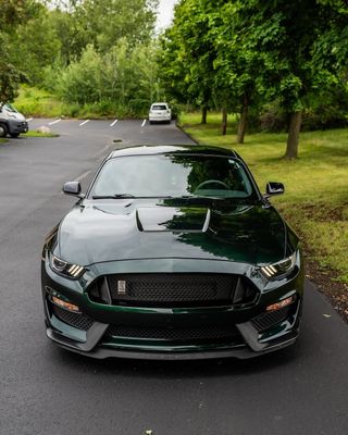 KPMF Green Black Iridescent K75460 Vinyl