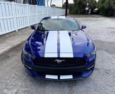 Vit Stripes - Premium