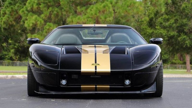 Guld Stripes - Premium