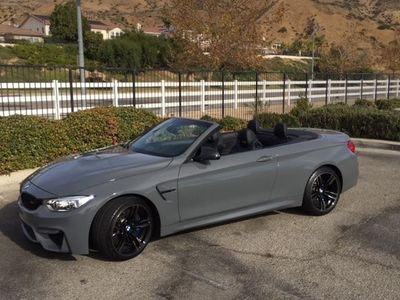 Avery Gloss Grey