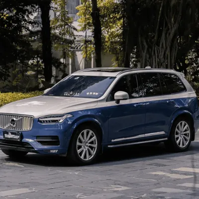 zeHoSNNYDkU73sn1758086766