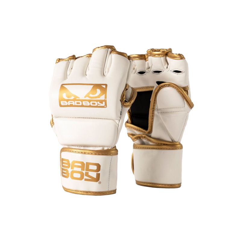MMA Gloves with Thumb