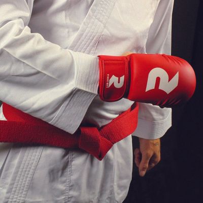 Fightart Karate Mitt Original