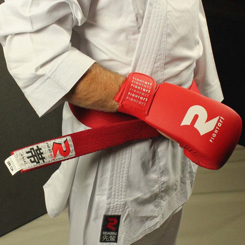 Fightart Karate Mitt 2